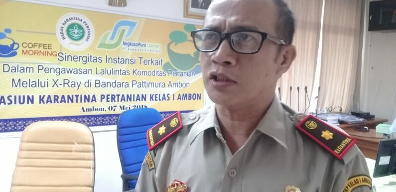 Karantina Pertanian Bangun Sinergitas Awasi komoditas Pertanian Lewat XRay