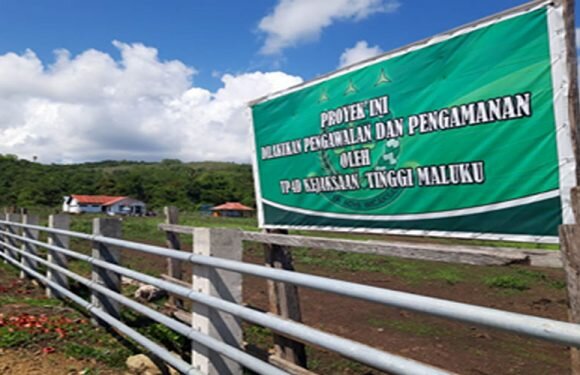 TP4D Kejati Maluku Cek Proyek Pagar UPTD Moa