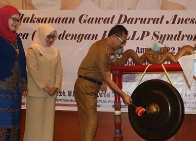 Wagub Buka Seminar Nasional IPAI