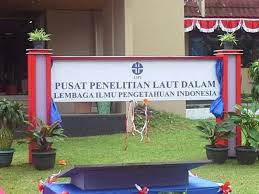 LIPI Ambon Belum Temukan Fitoplankton Beracun di Ikan Mati