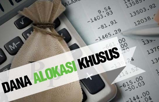 Kontrol DAK, Tim Khusus Perlu Dibentuk